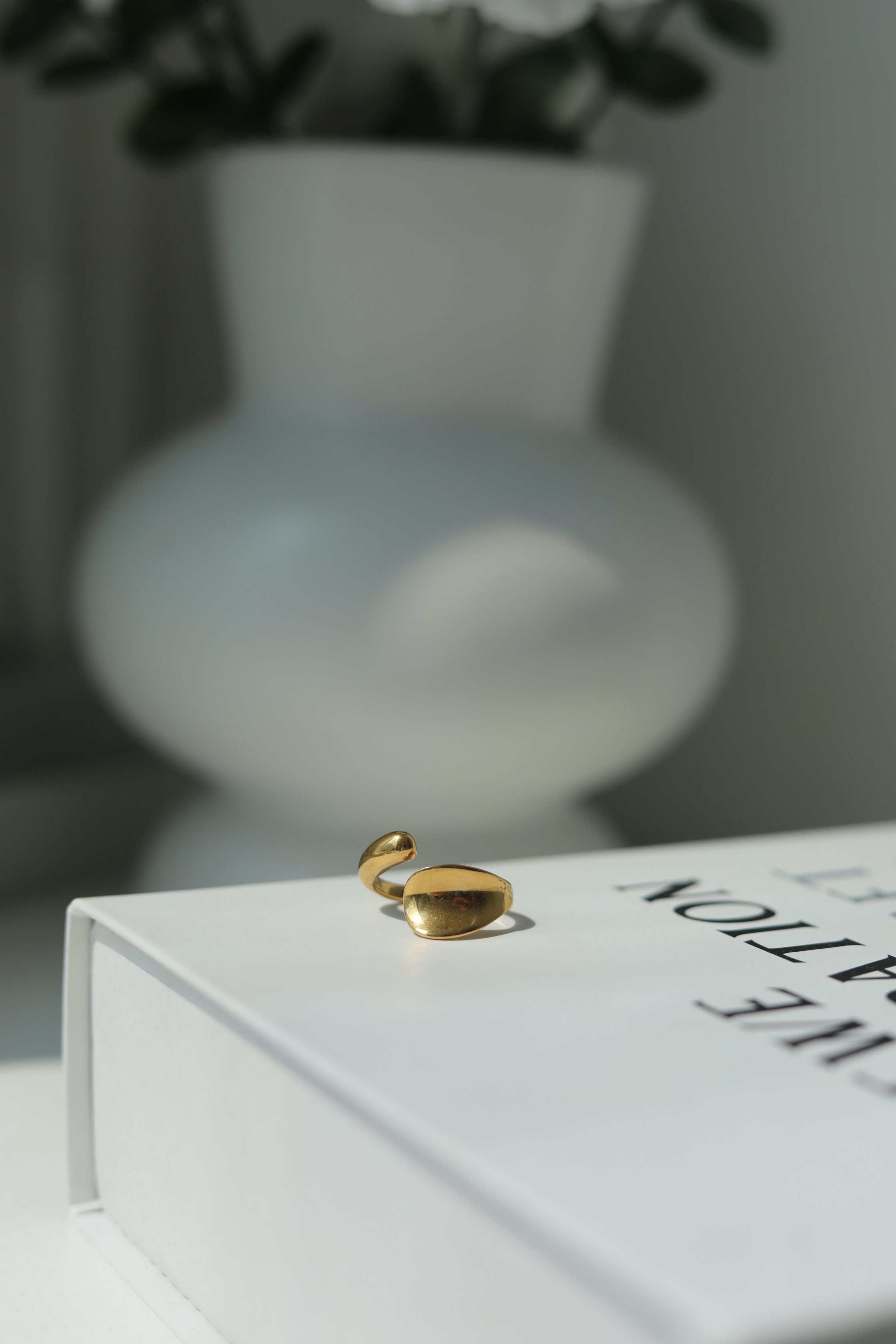 Gold earring on a white book with a blurred vase and plant in the background