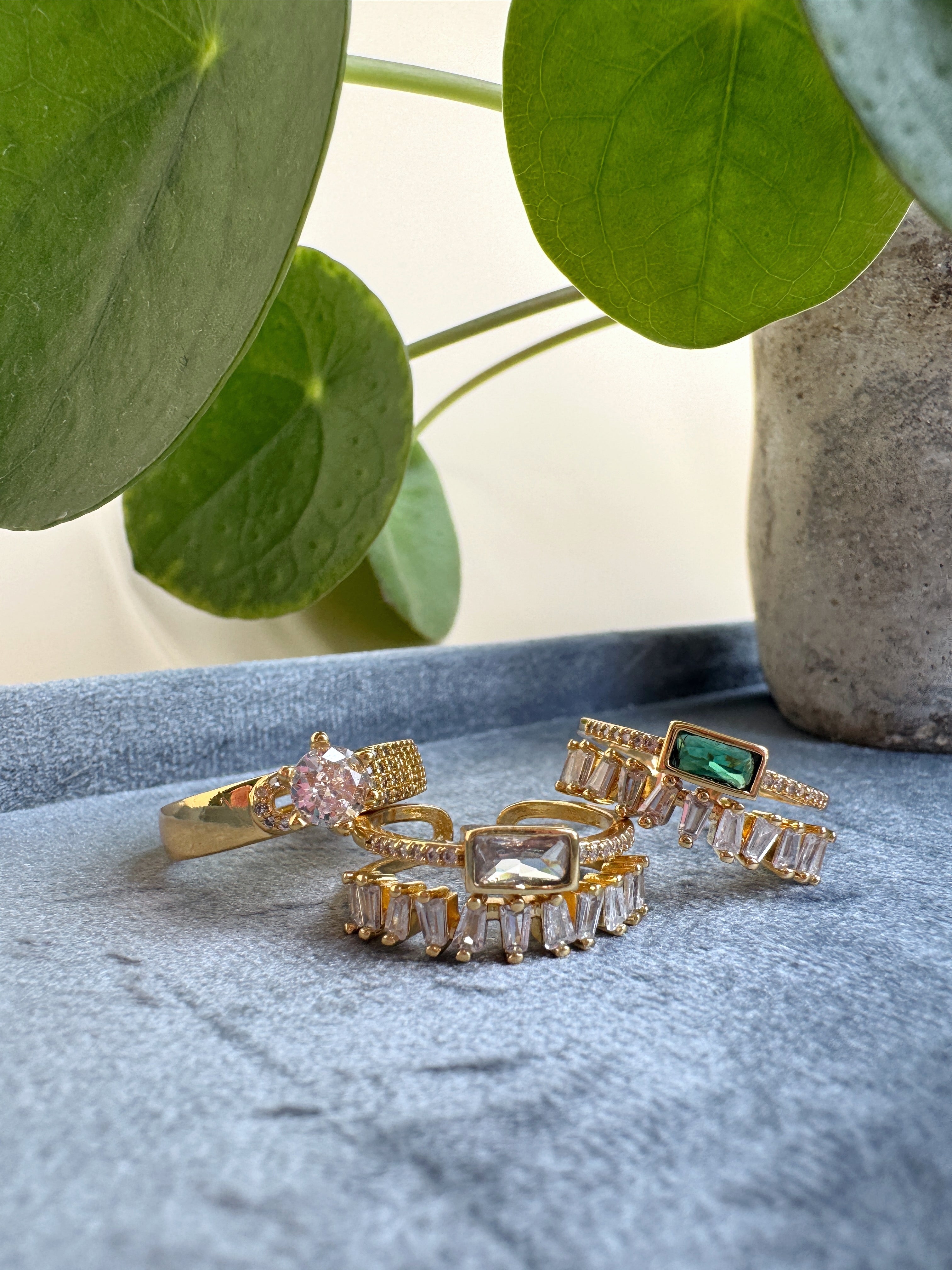 Gold rings with gemstones on a textured surface with green leaves in the background