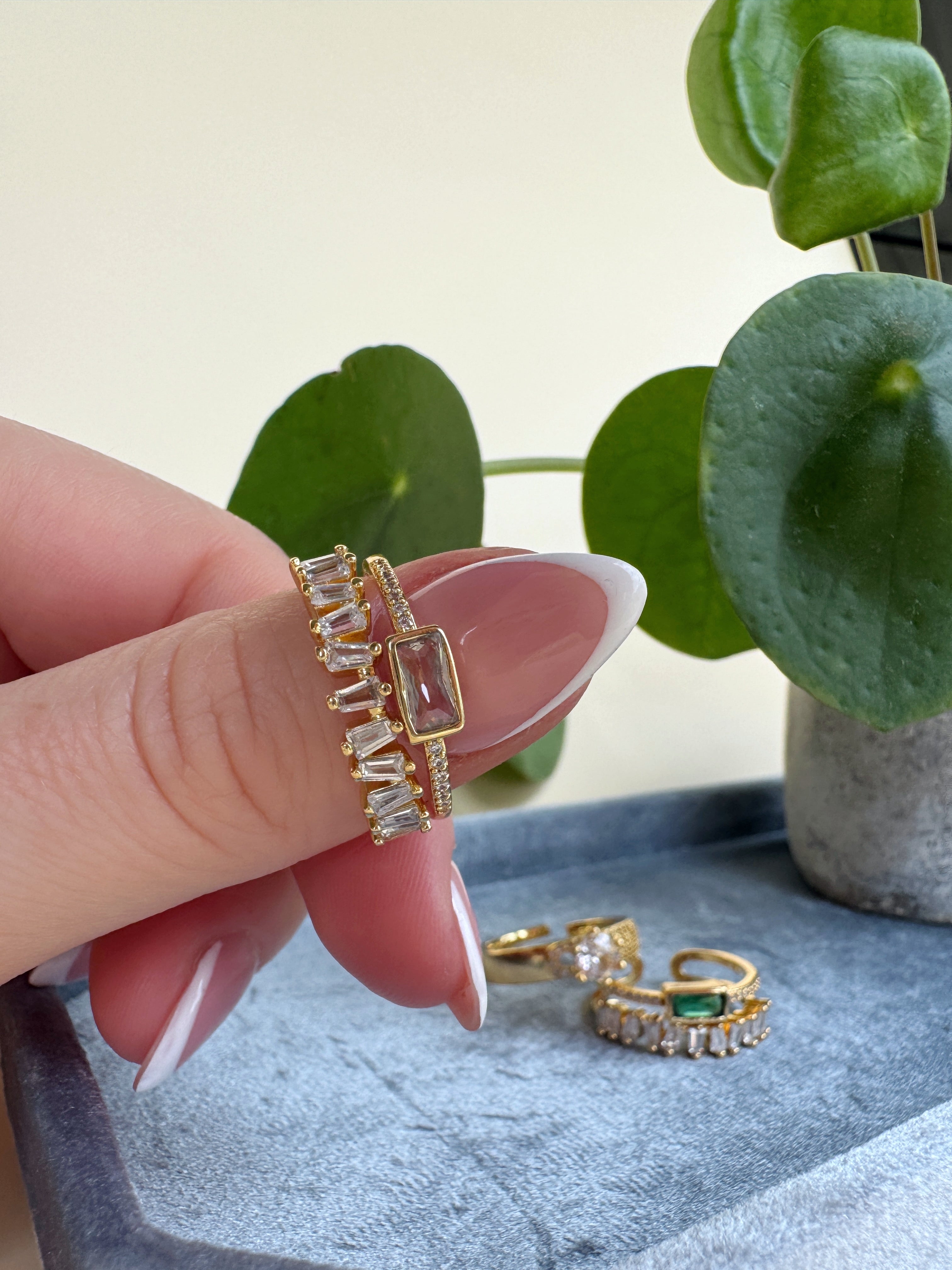 Gold rings with gemstones held by a hand against a light background with greenery.