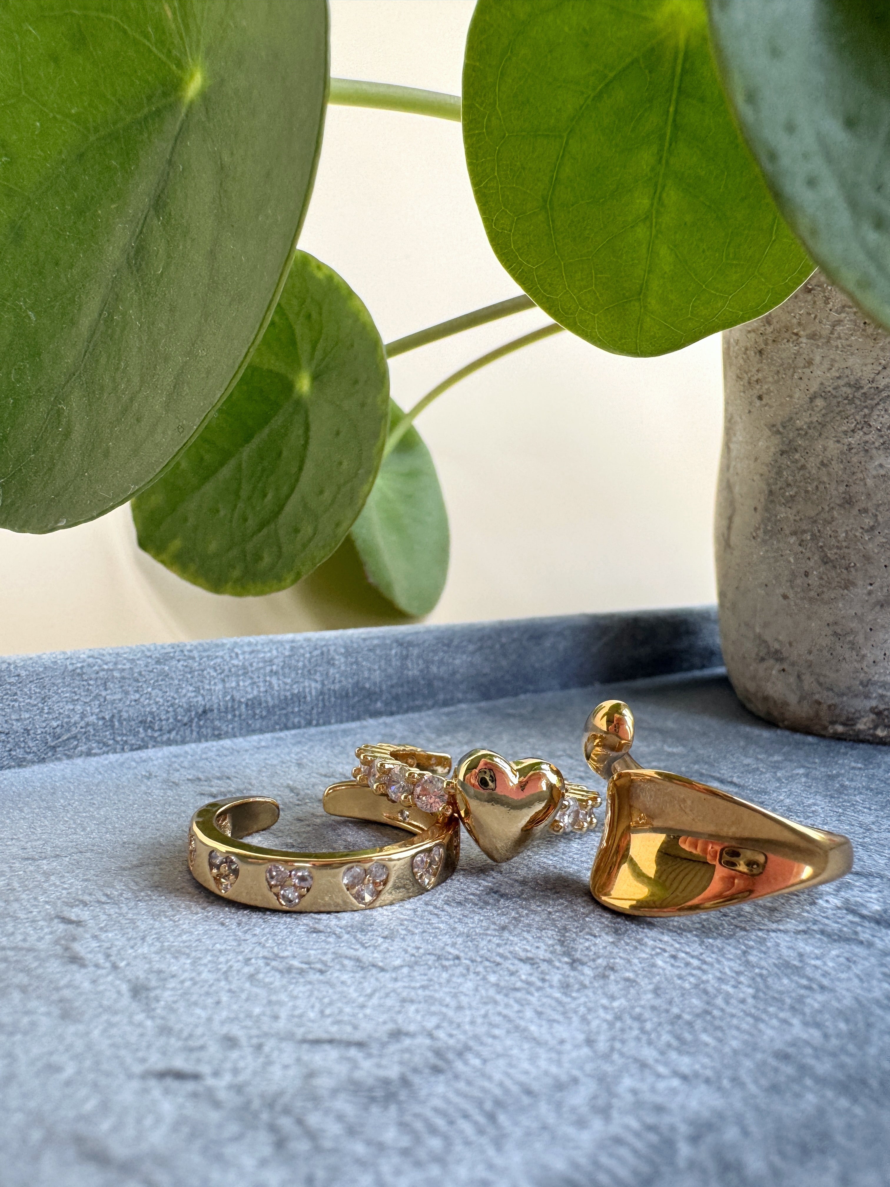 Gold rings on a textured surface with green leaves in the background