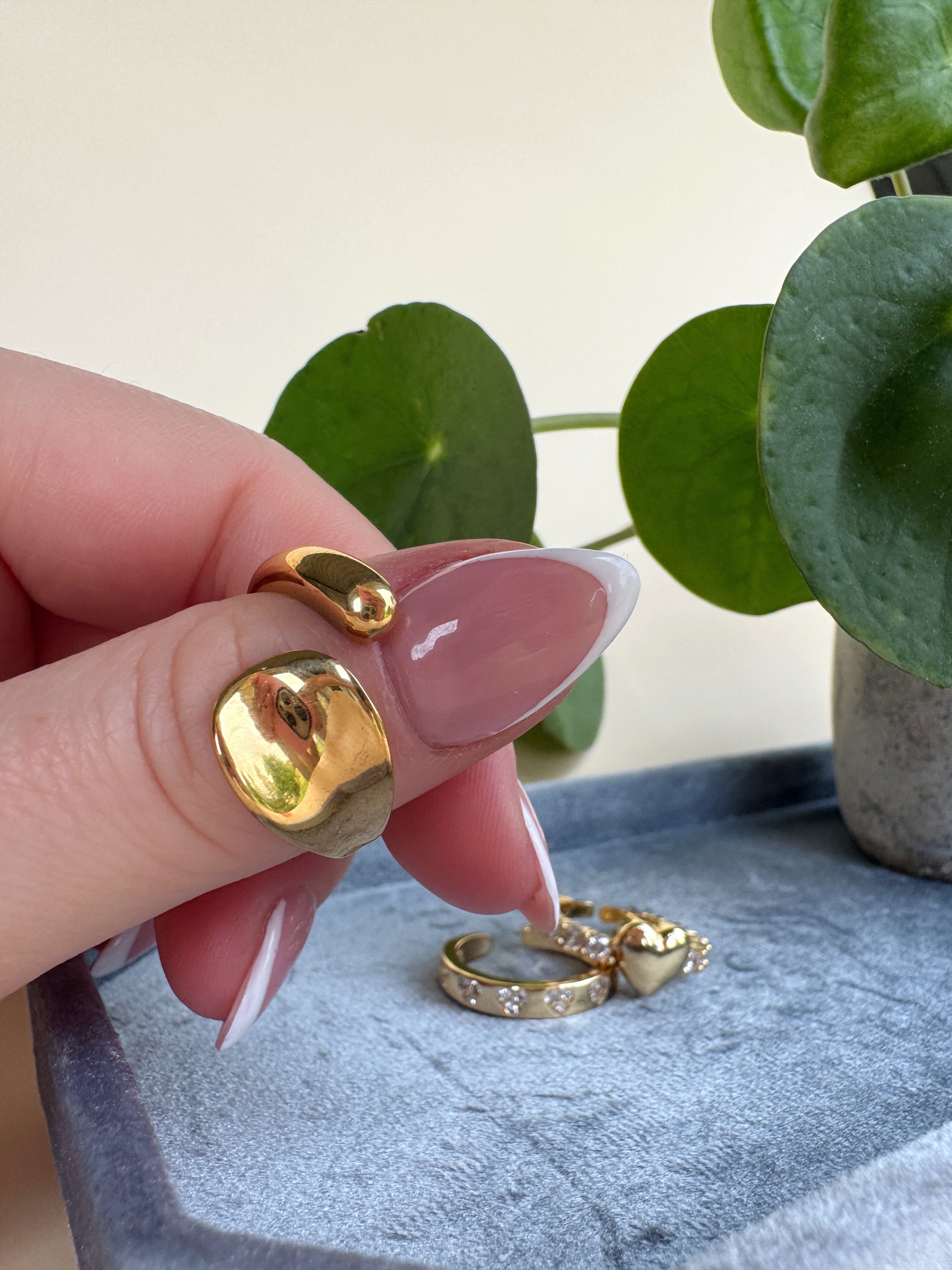 Gold ring being held by a hand with pink nail polish, with a plant in the background.