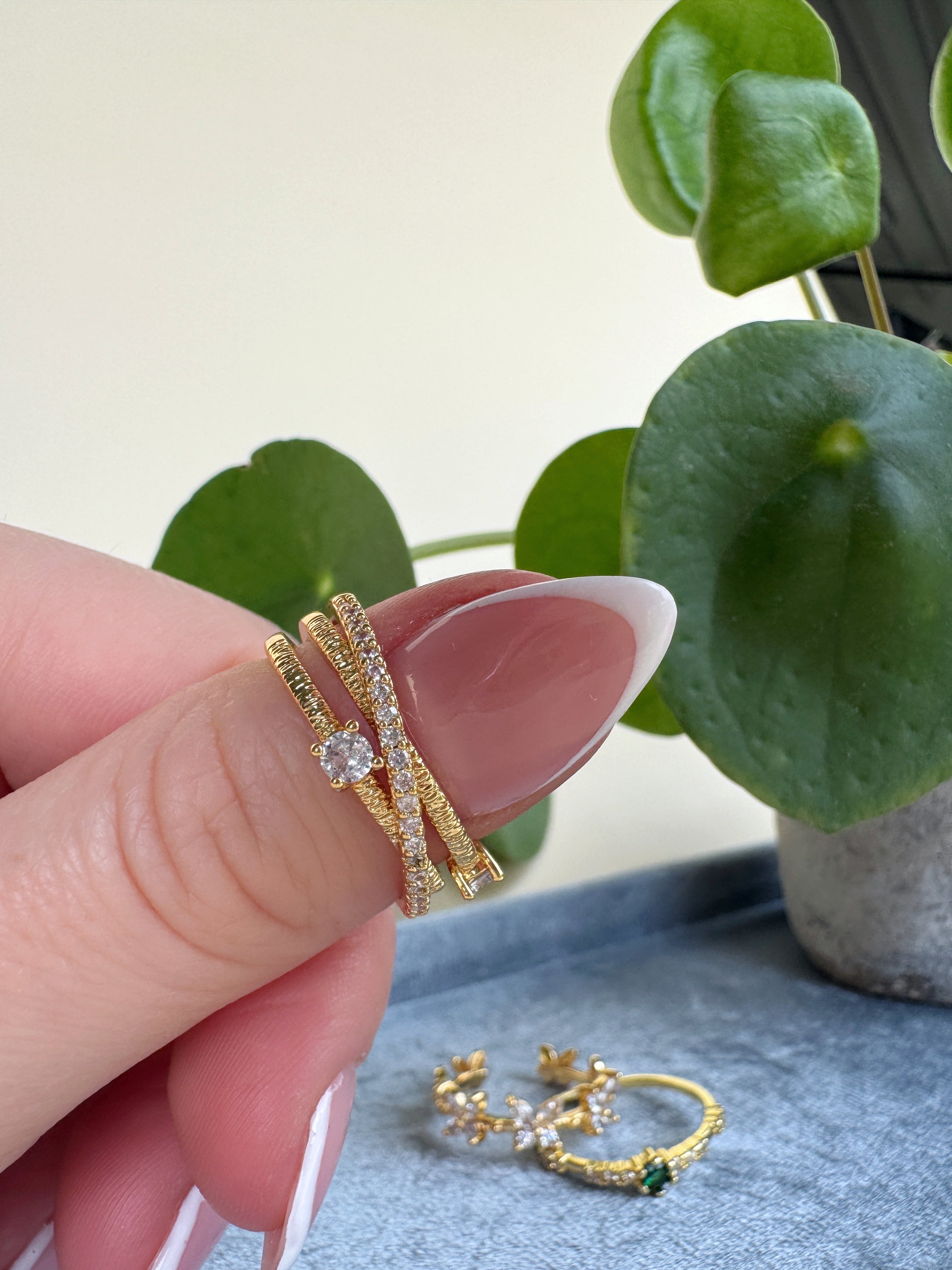 Eye catching gold rings being held by a hand with a plant in the background