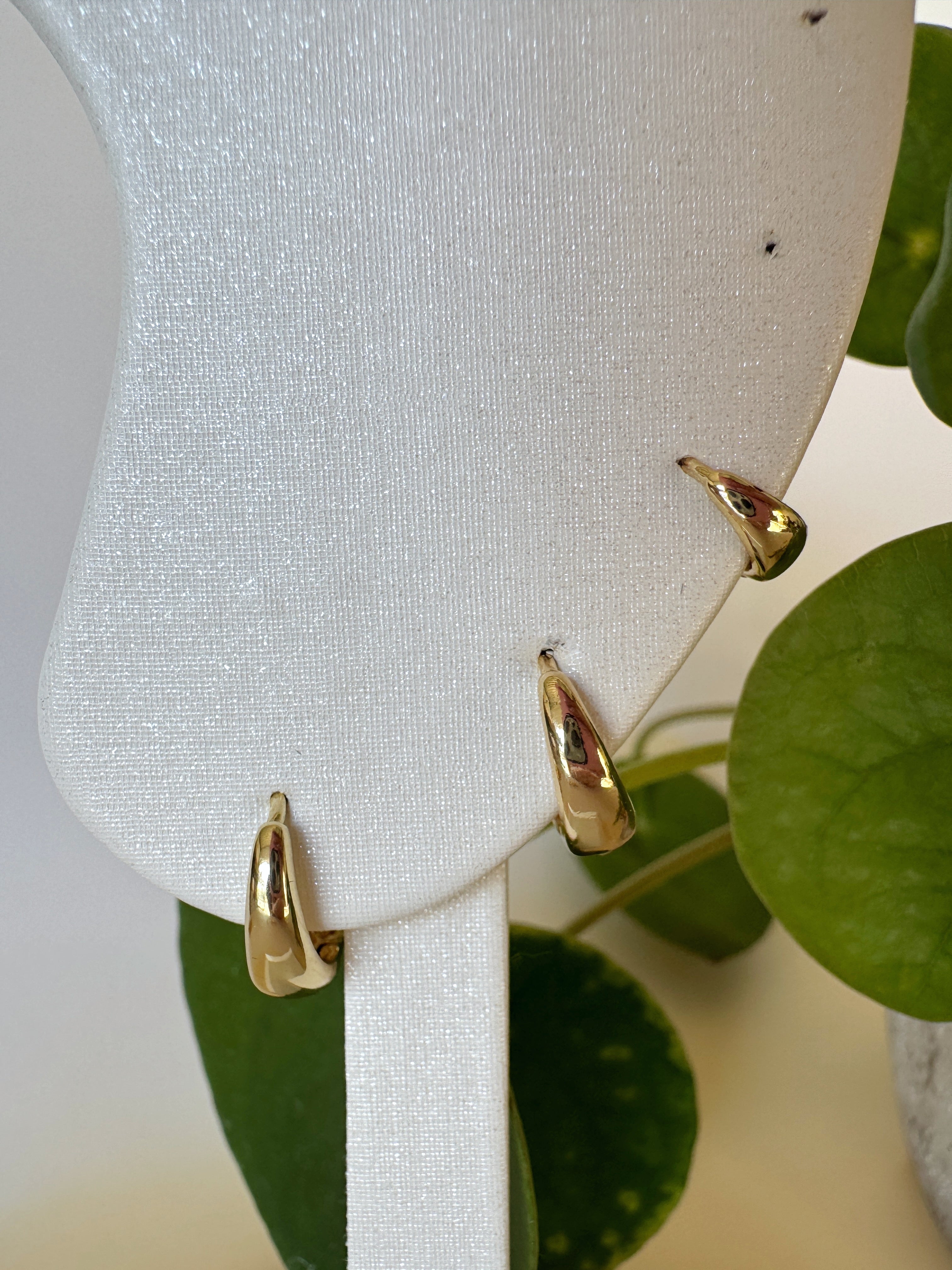Classic gold hoop earrings in 3 sizes on a white jewelry display with green leaves in the background
